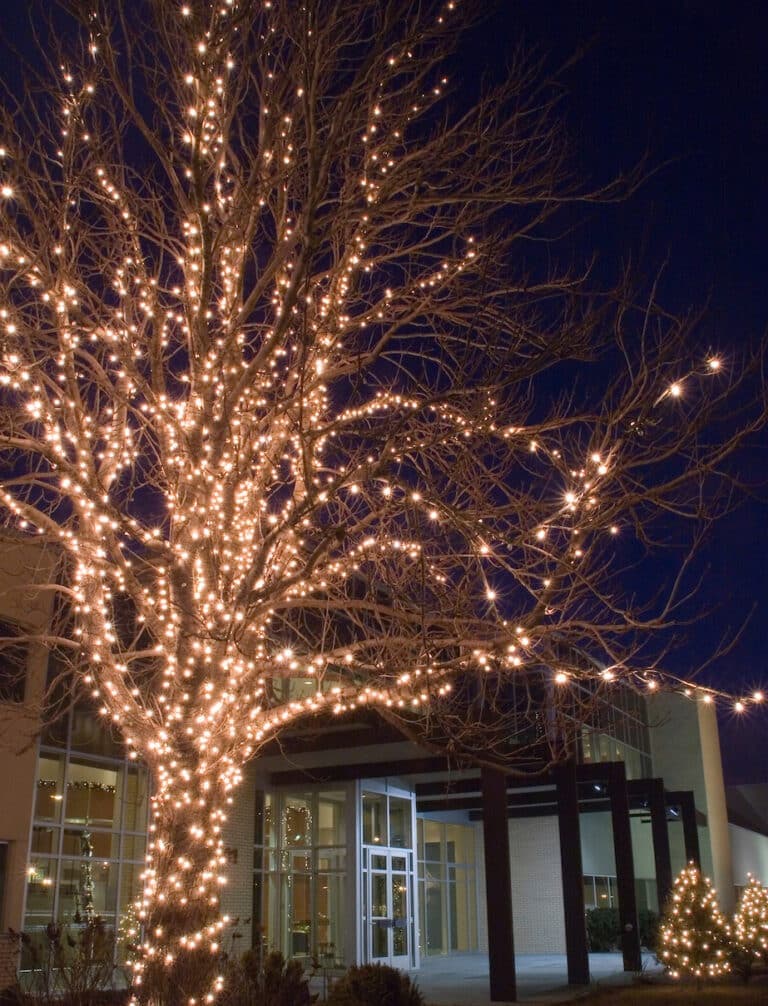 Christmas tree lit with warm white lights outside a modern building at night.