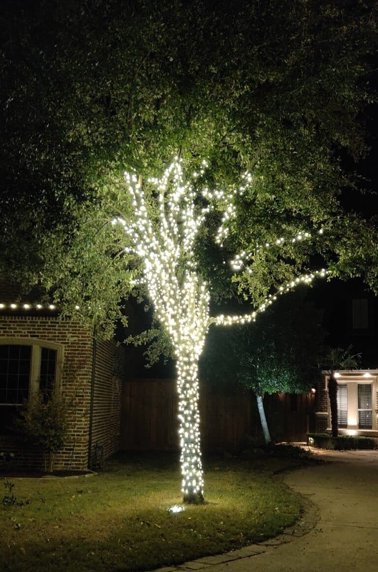 Tree wrapped in white lights, illuminating a yard at night with a cozy ambiance.
