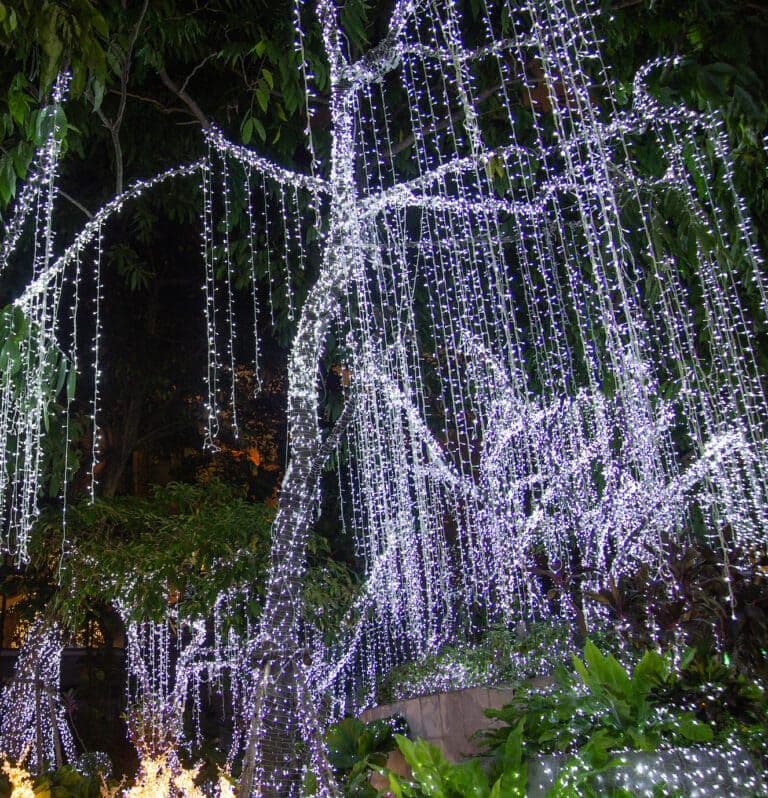 Illuminated tree with cascading white string lights in a lush garden setting.