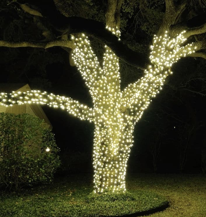 Illuminated tree wrapped in white lights, enhancing a nighttime outdoor scene.