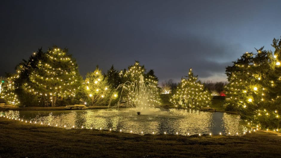 Illuminated trees around a fountain in a serene evening holiday scene.