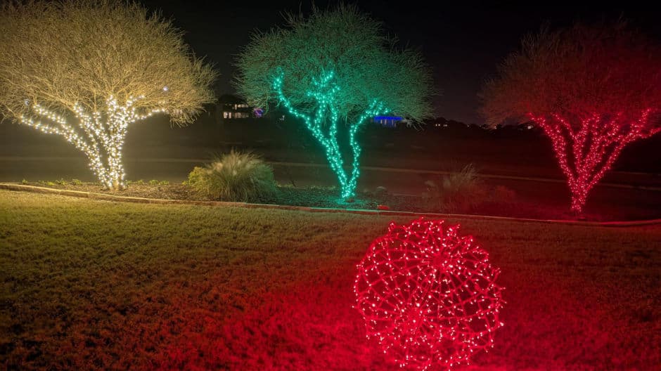 Colorful holiday lights decoratively illuminate trees in a nighttime garden setting.